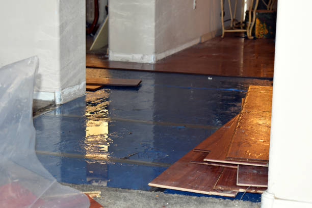 Professional Basement Flood Cleanup technician working in Morley, MI