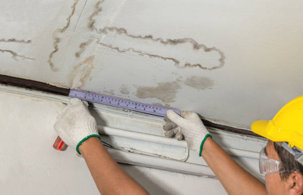Reliable Basement Flood Cleanup contractor in Morley, MI by Aqua Guard Water Damage